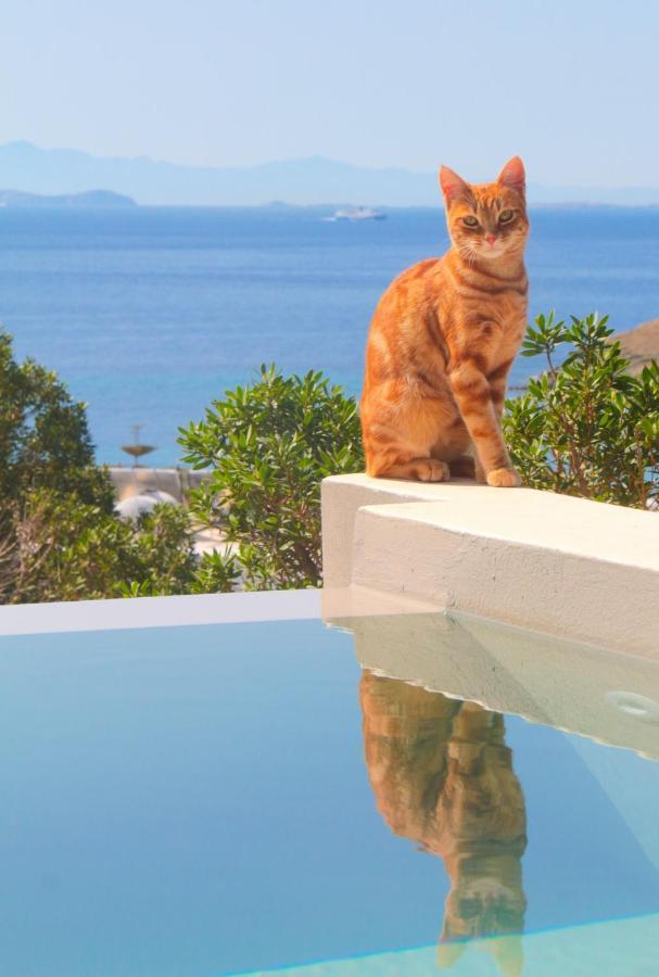 Villa With View Of Agios Ioannis And Pool With Jacuzzi Luaran gambar